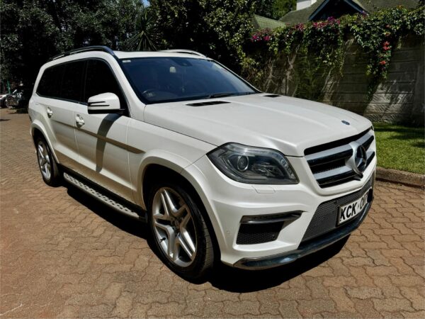 2015 Mercedes_benz GL350D - Image 19