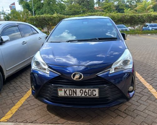 WhatsApp Image 2026-02-19 at 09.50.56